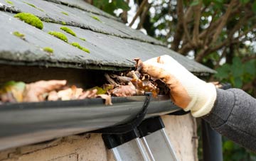 gutter cleaning North Chideock, Dorset