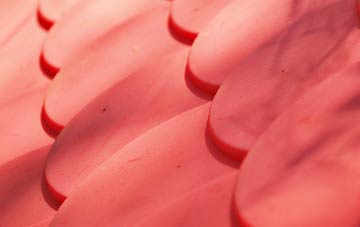 North Chideock plastic roof costs