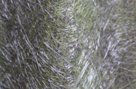 North Chideock fibreglass roof work